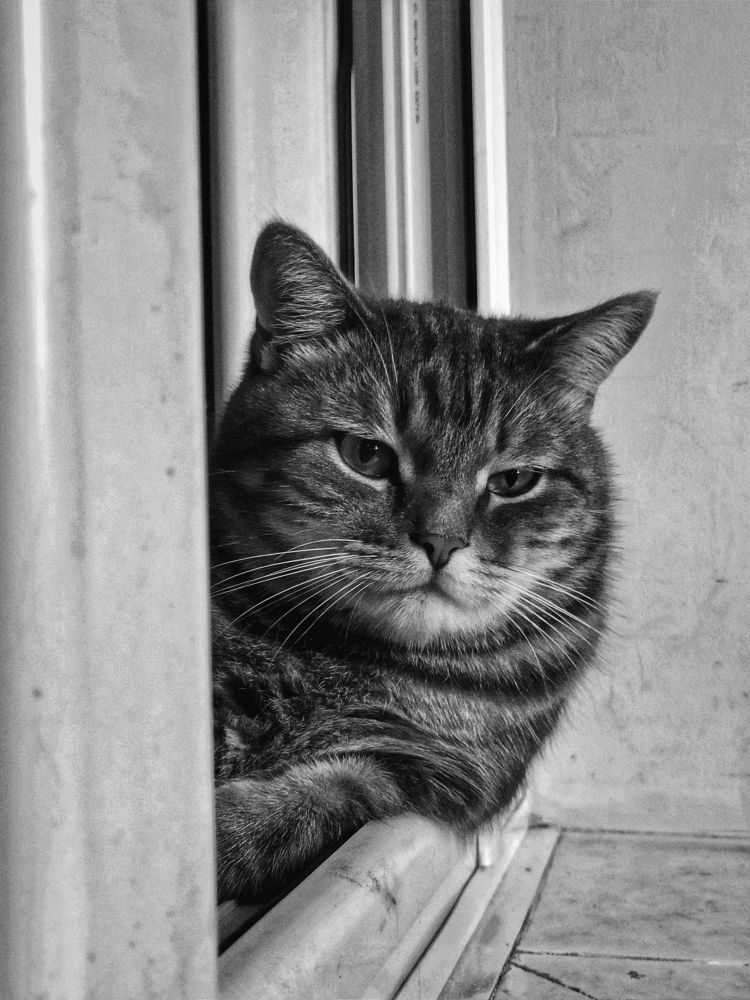 Photograph by Тимур Быков