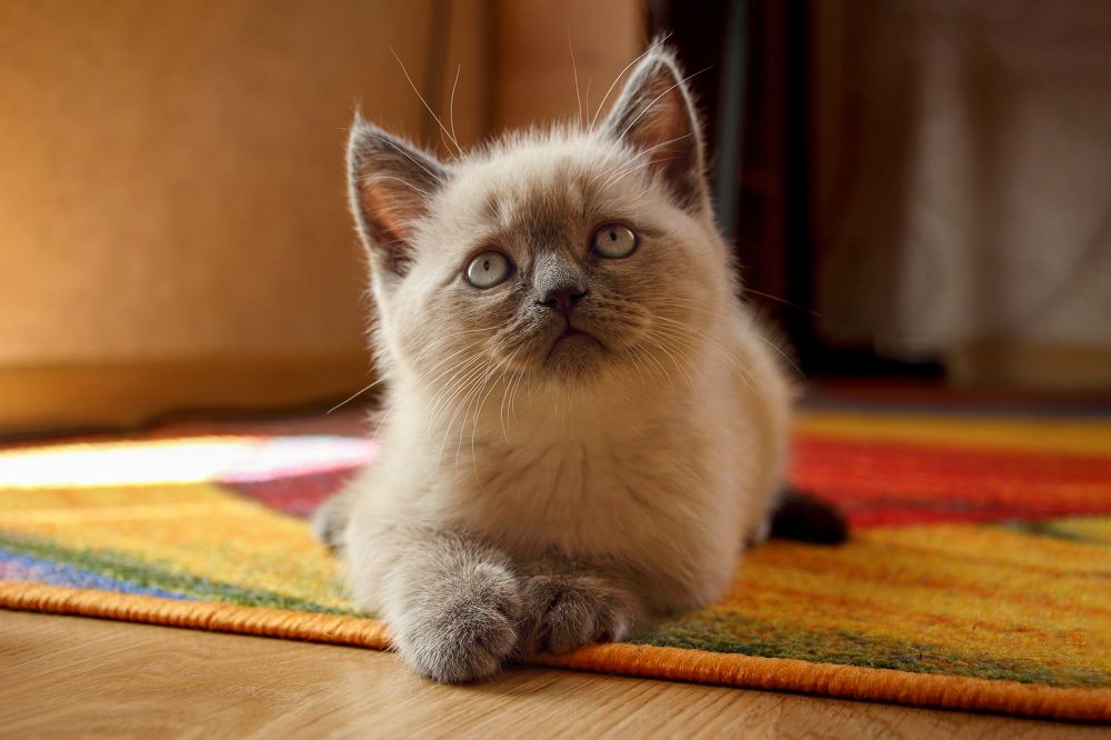 Photograph by Николай Зорин