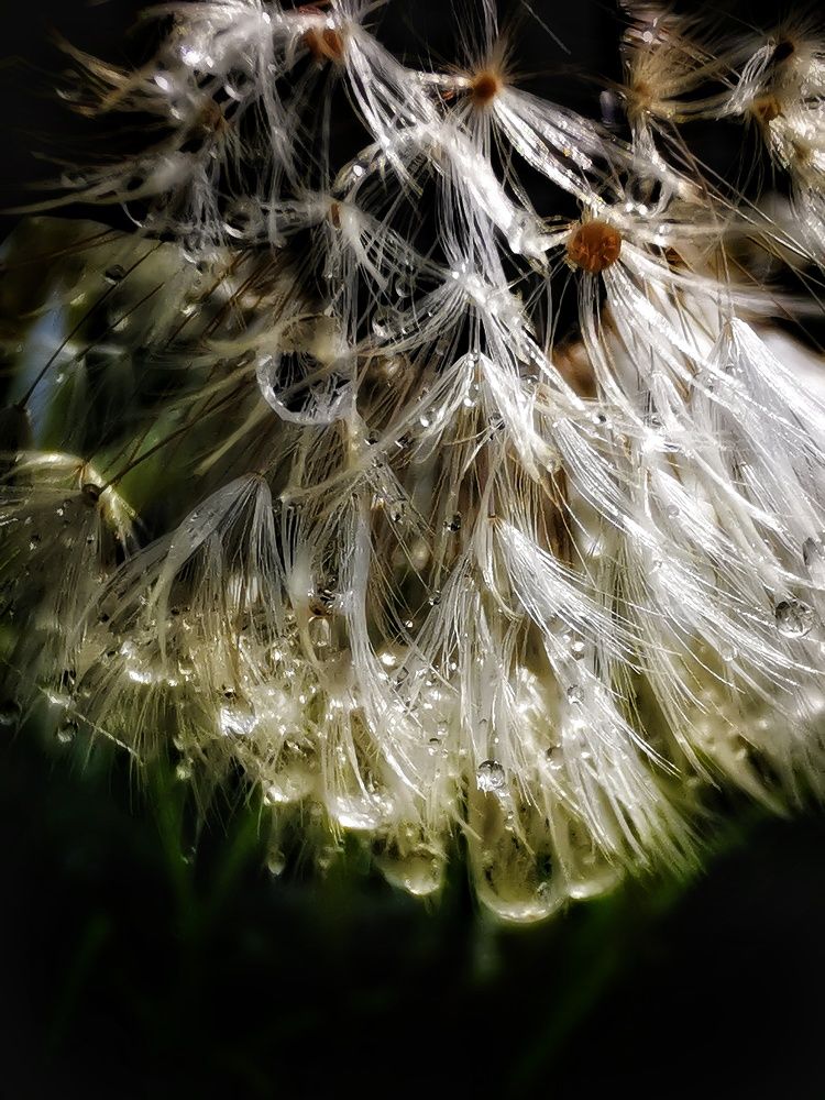 Photograph by Елена Артёменко