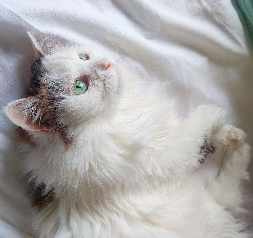 Photograph by Татьяна Кунц