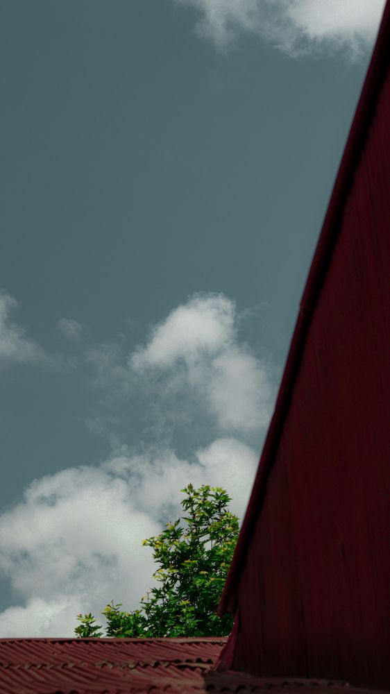 Photograph by Shima Farzaneh