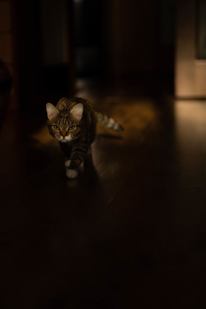 Photograph by Бальзирова Наталья