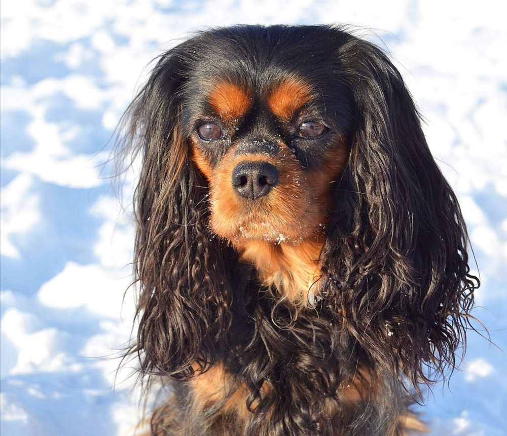 Фотография автора Елена