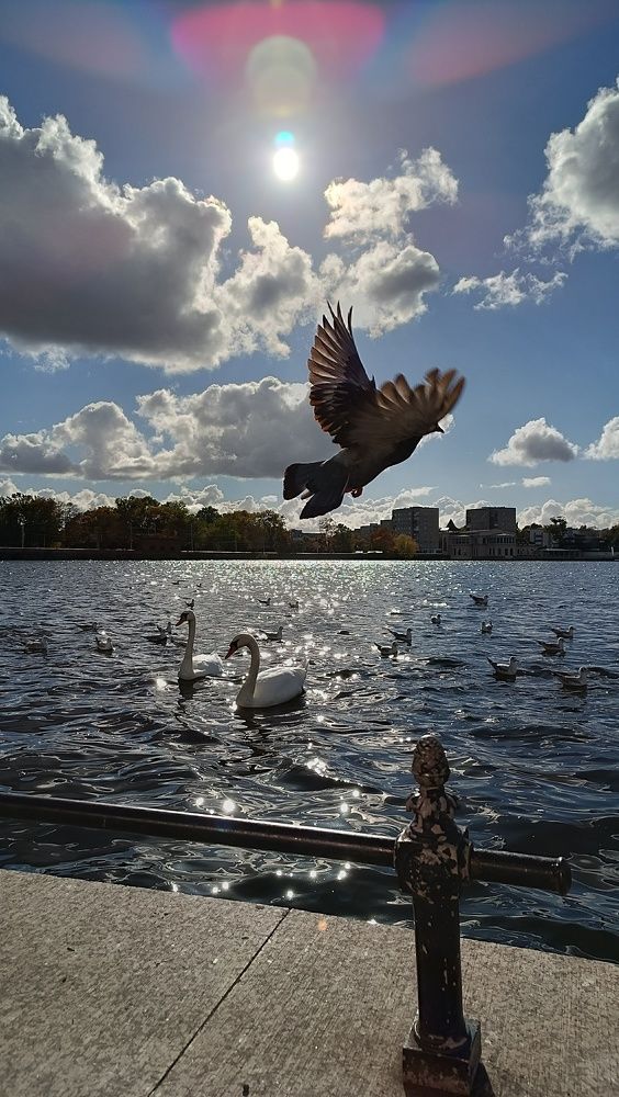 Photograph by Ирина Леонова