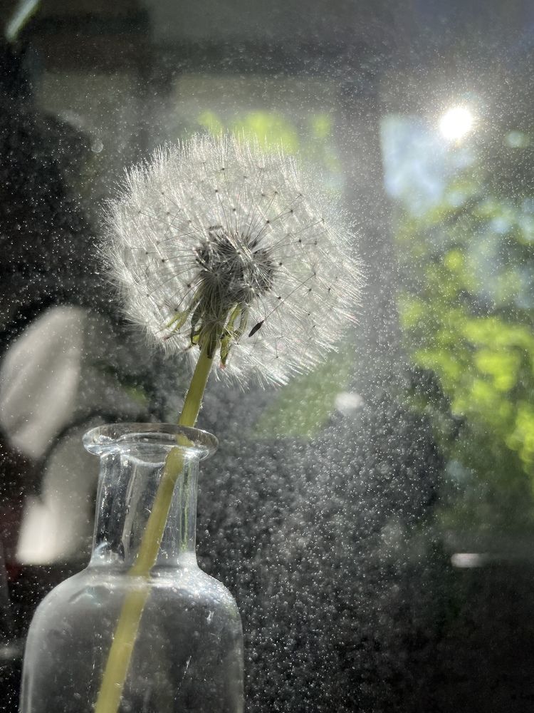 Photograph by Ирина Леонова