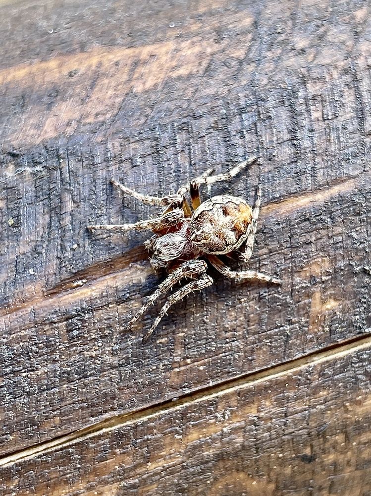 Photograph by Ирина Леонова