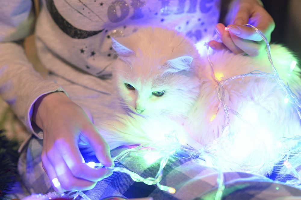 Photograph by Ирина Писанова