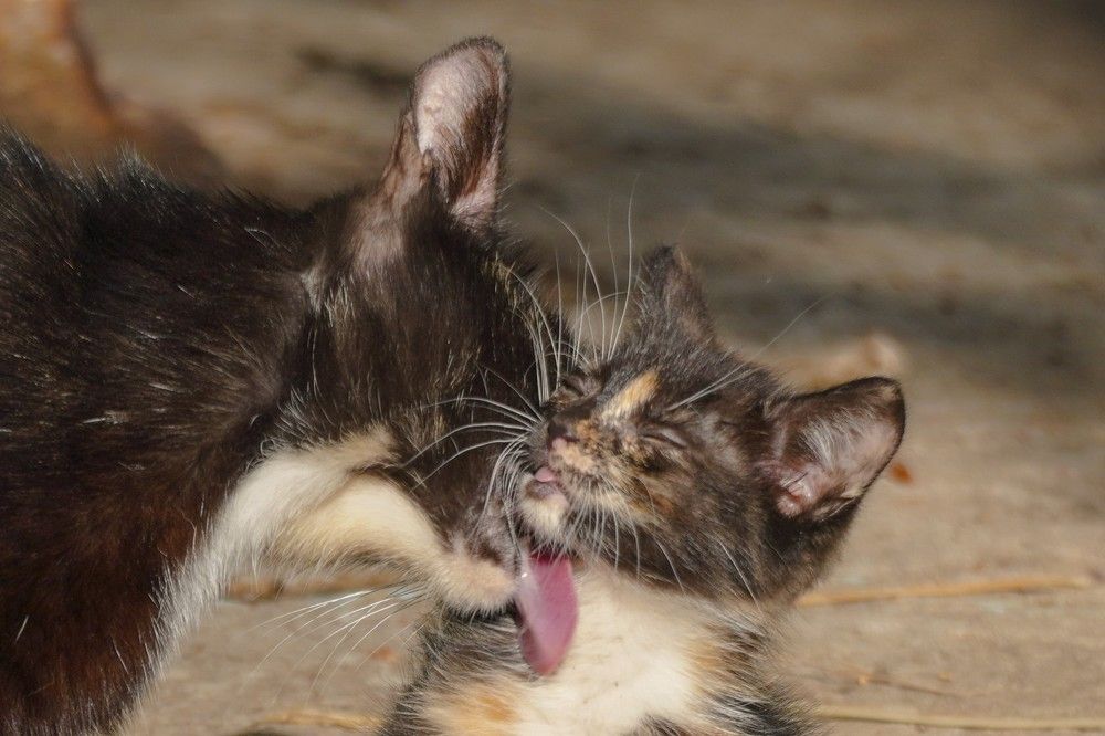 Photograph by Алфия Бугакова