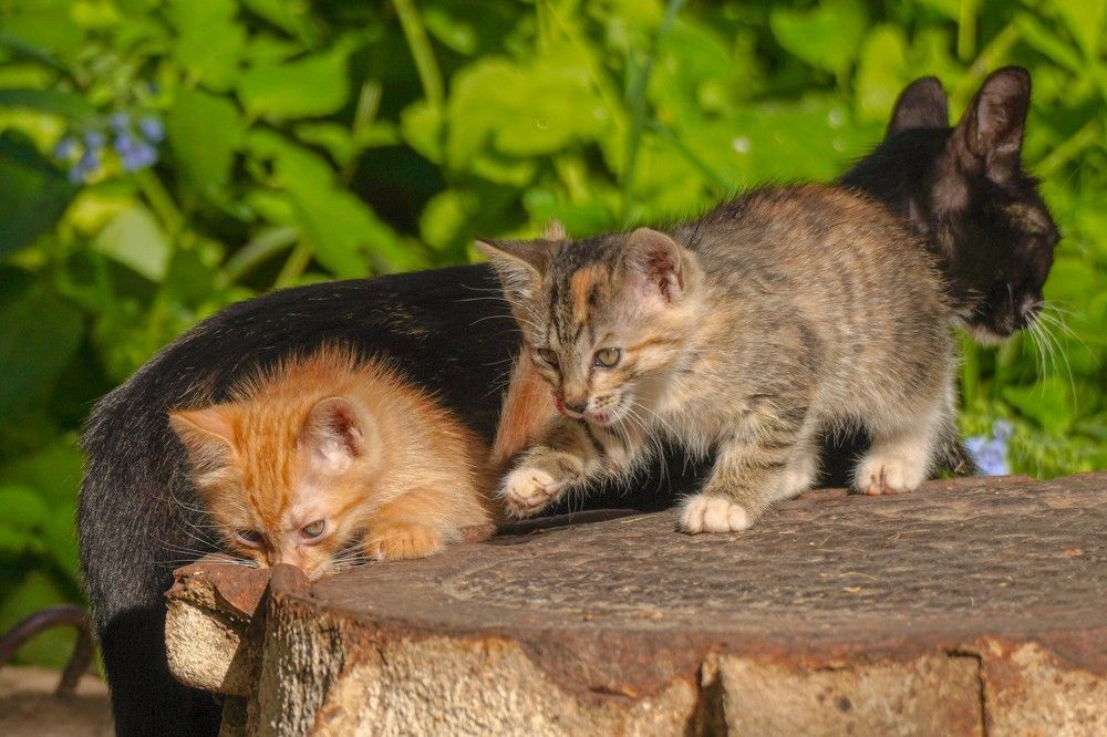 Photograph by Алфия Бугакова