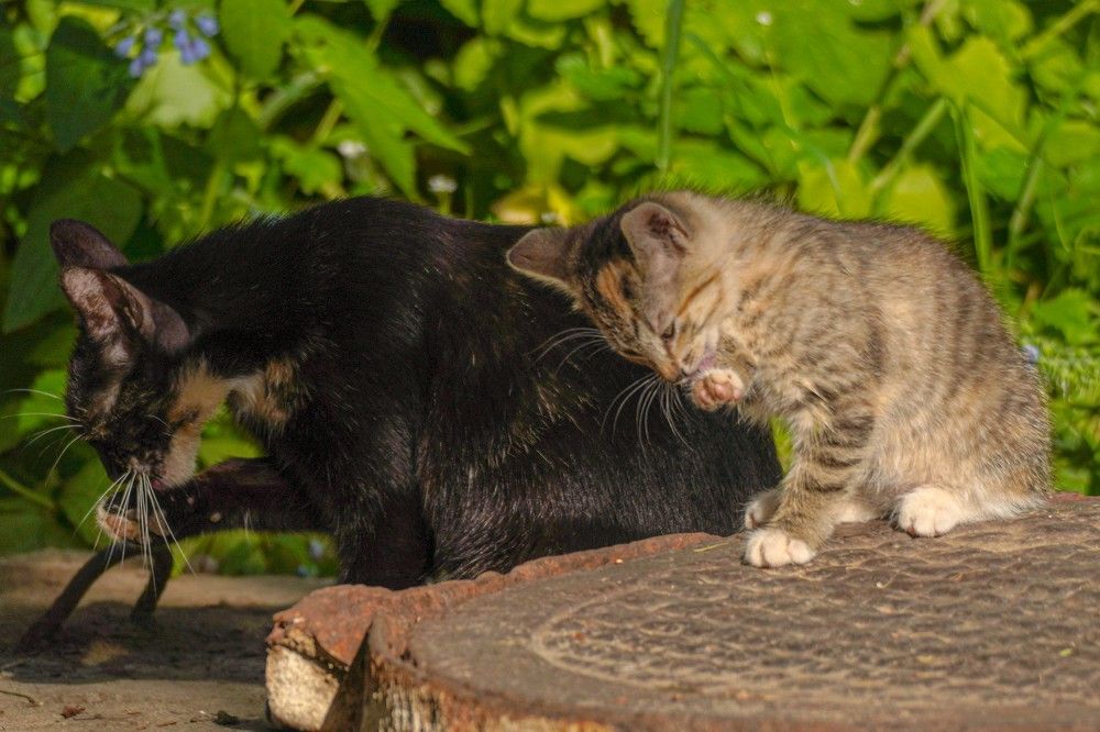 Photograph by Алфия Бугакова