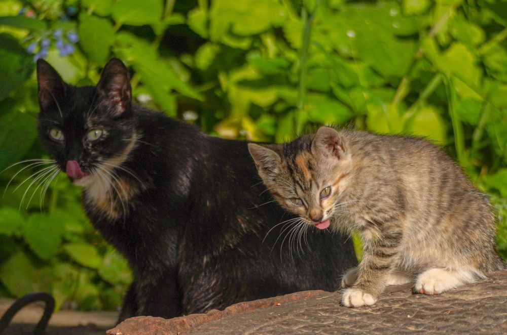 Photograph by Алфия Бугакова