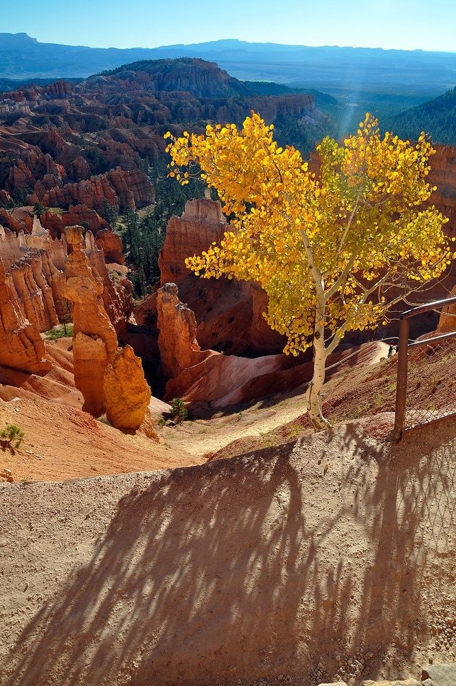 Фотография автора Ковяк Сергей Васильевич