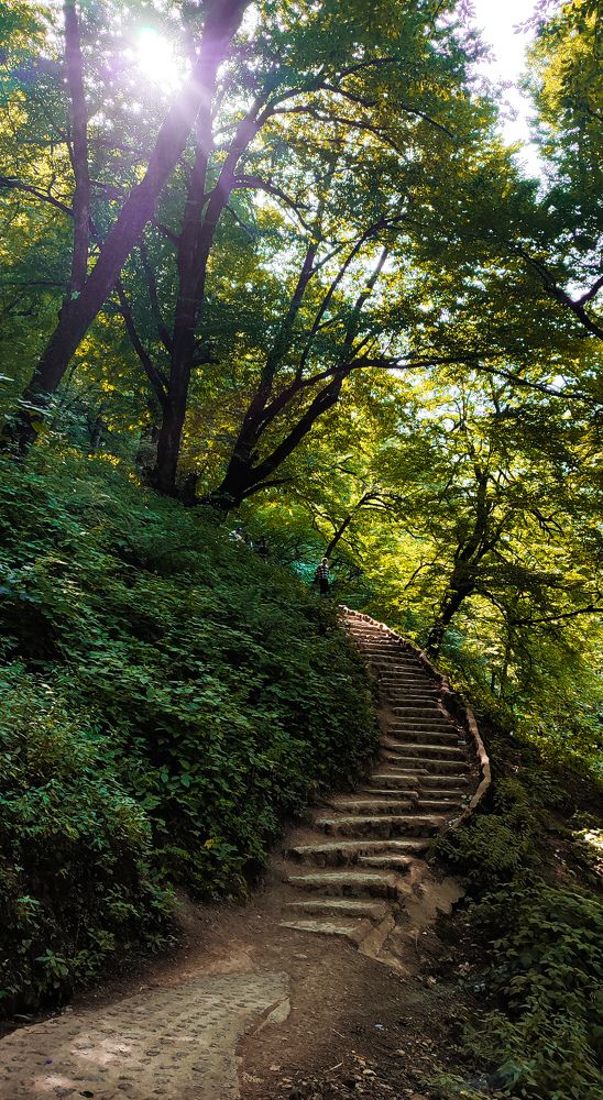 Photograph by Shima Farzaneh