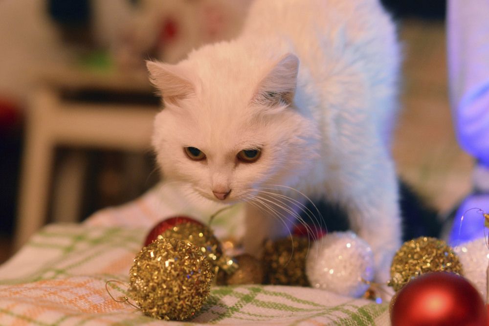 Photograph by Ирина Писанова