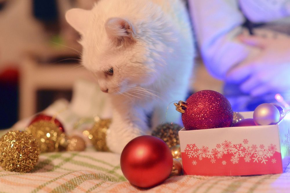 Photograph by Ирина Писанова