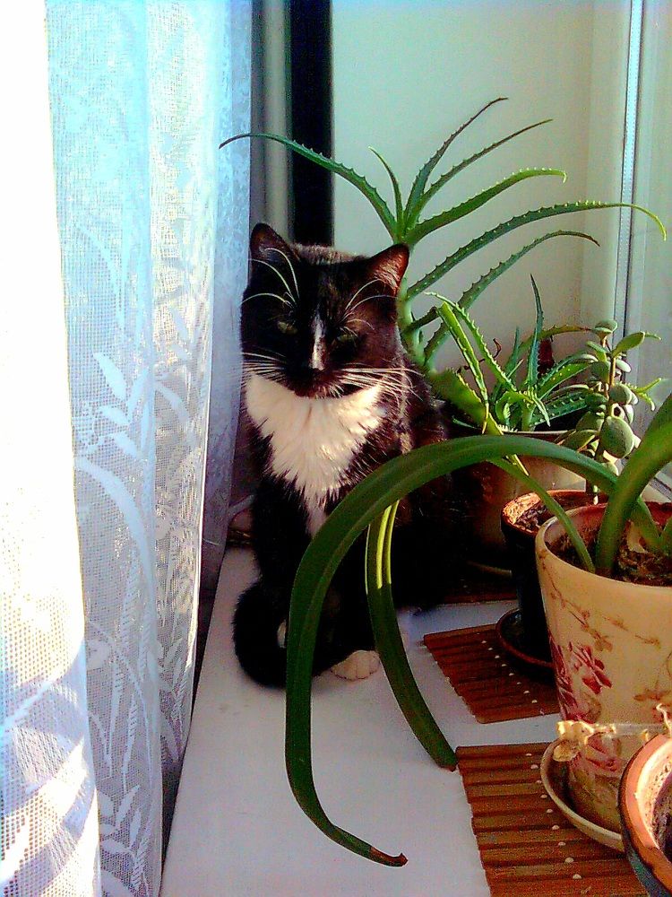 Photograph by Ольга Юрченко