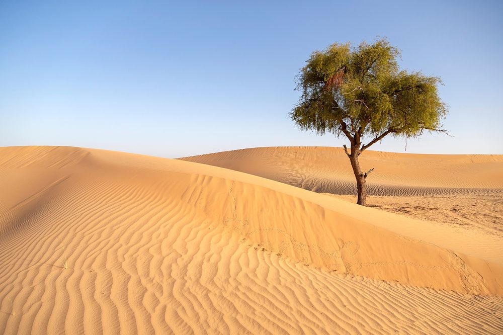 Photograph by Viktoryia Vinnikava