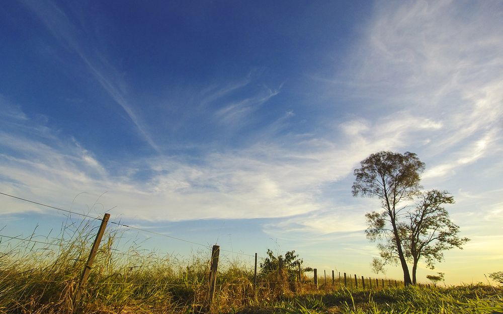 Photograph by Luiz Anelli