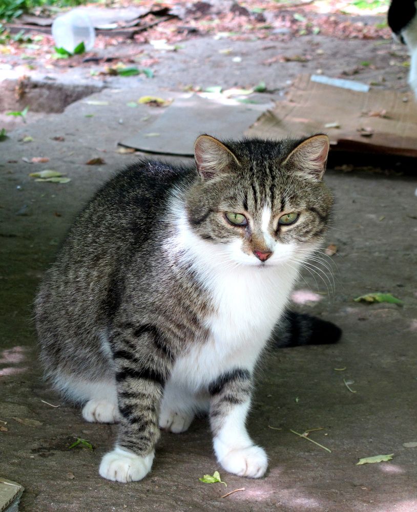 Photograph by Анастасия Пухова