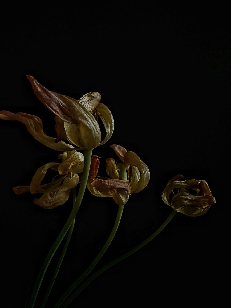 Photograph by Екатерина