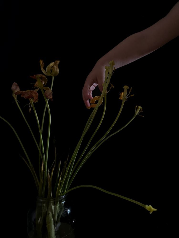 Photograph by Екатерина