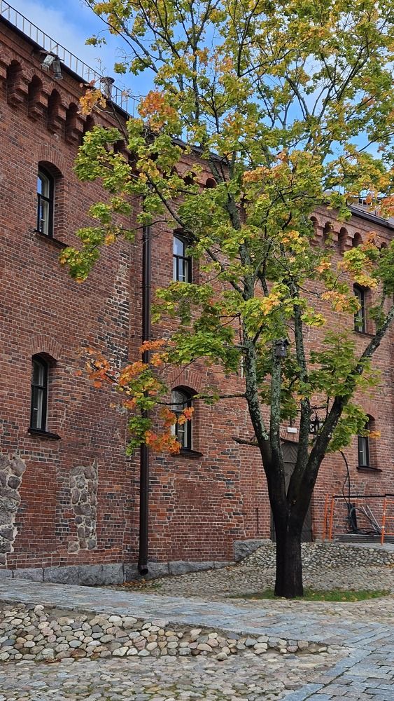 Photograph by Анастасия Свиридова