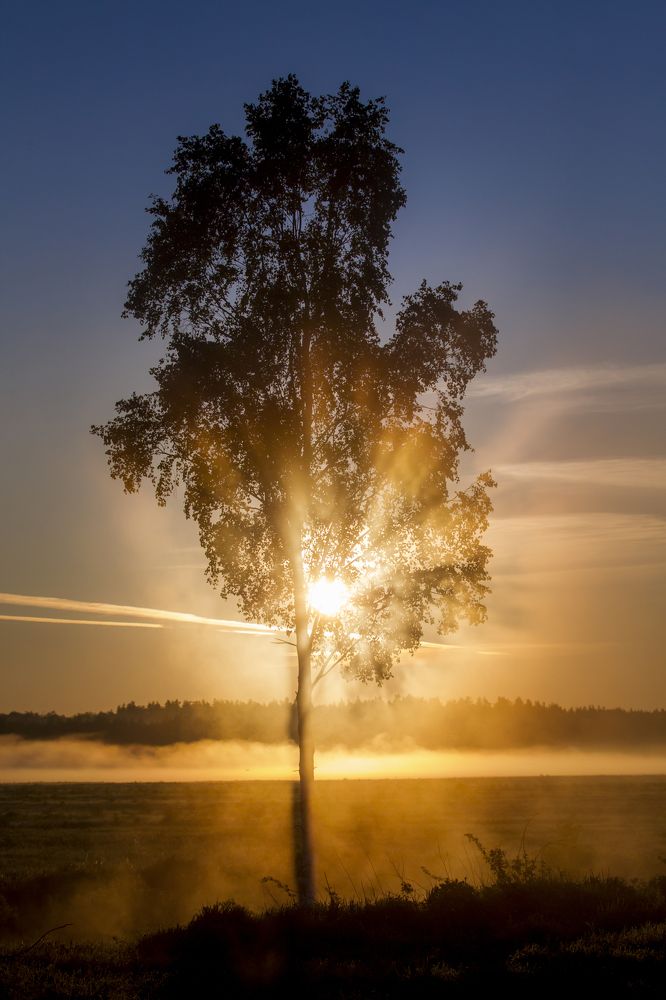 Photograph by Дмитрий Черепков