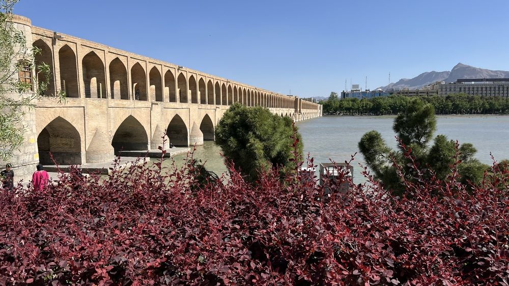 Фотография автора golnaz arami