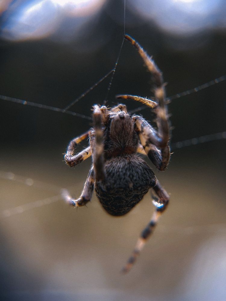 Photograph by Виктория Селютина