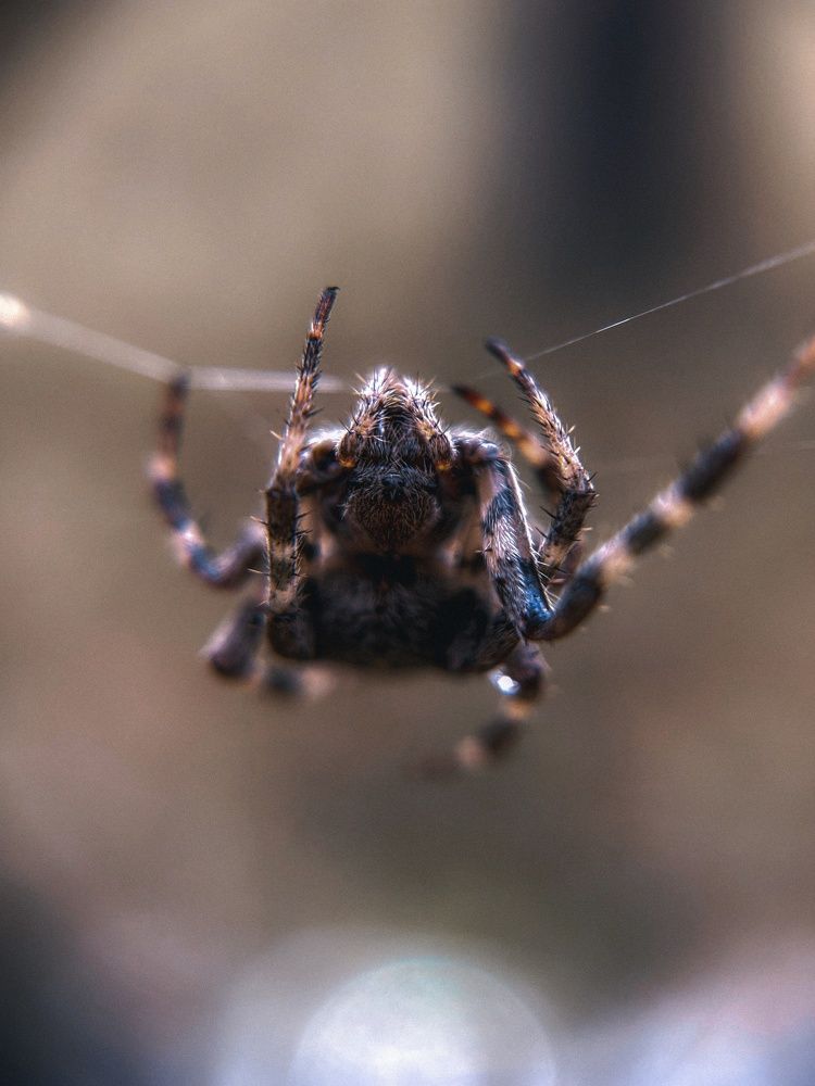Photograph by Виктория Селютина
