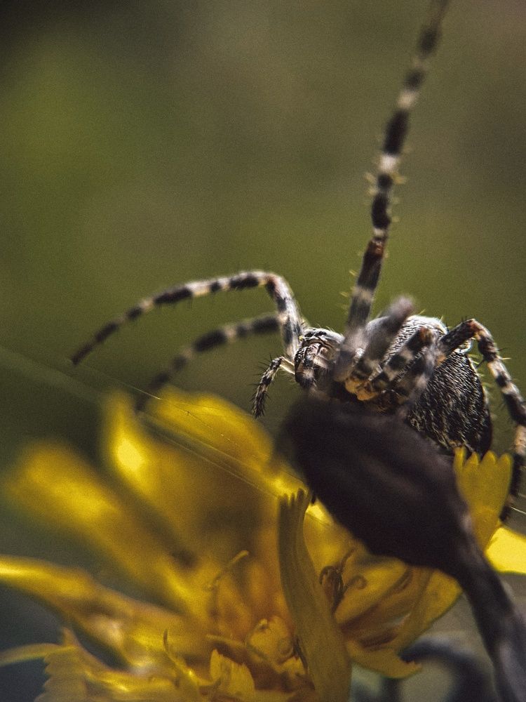 Photograph by Виктория Селютина