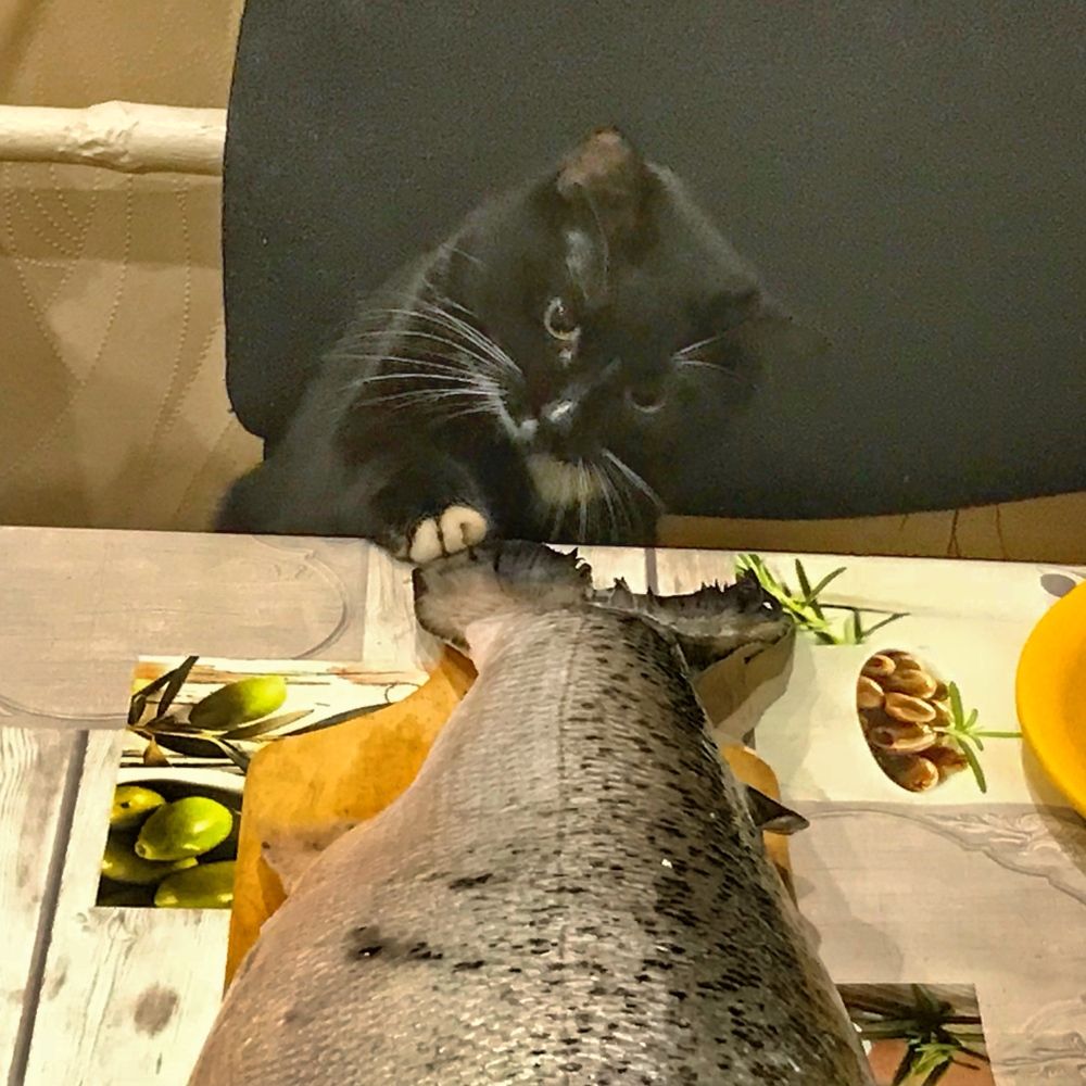 Photograph by Валентина Ивашова