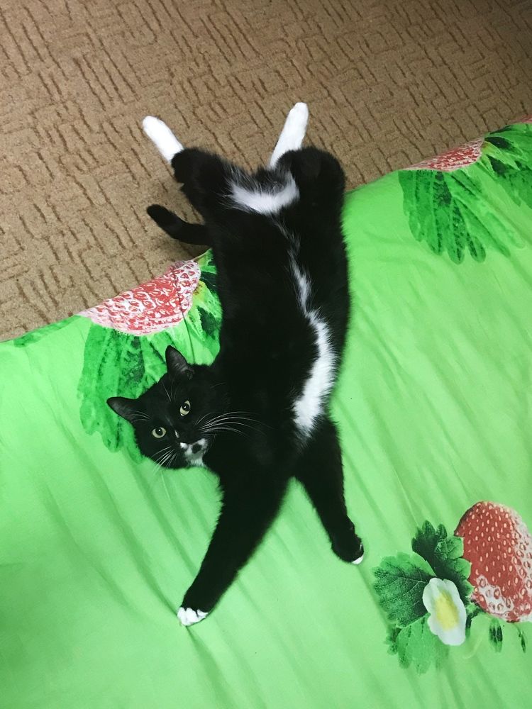 Photograph by Валентина Ивашова