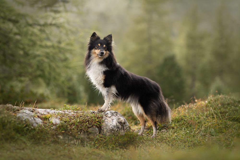 Photograph by Daniela Schmid