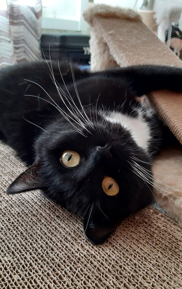 Фотография автора Maria V. Gorskaya