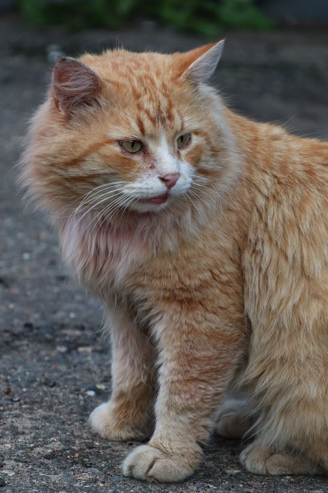 Photograph by Лолита Богачева