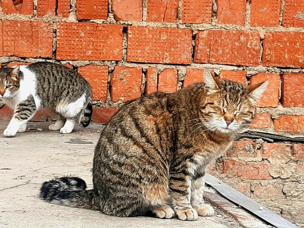 Photograph by Екатерина