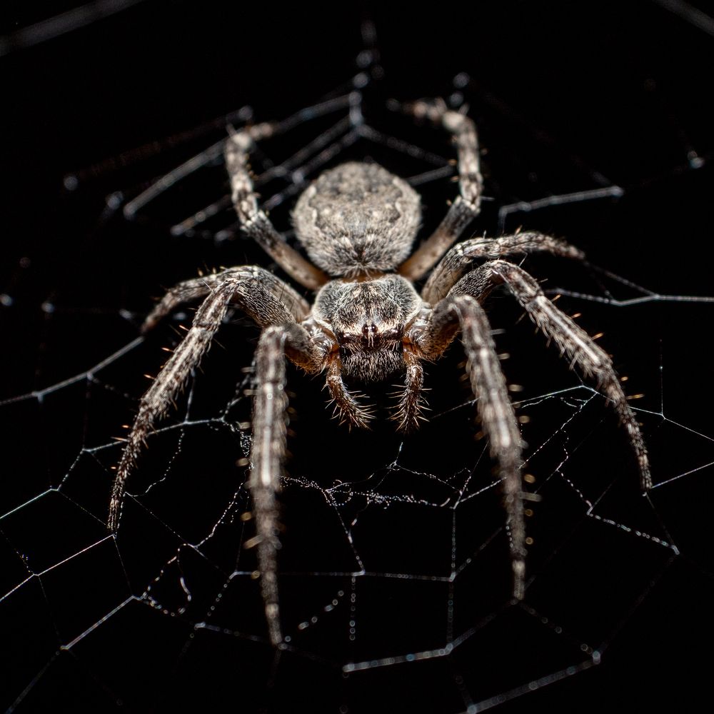 Photograph by Гукасян Геворк