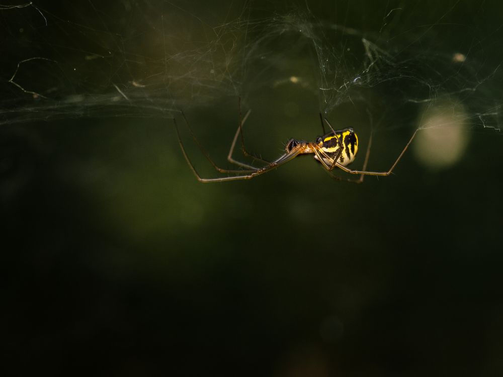 Photograph by Гукасян Геворк