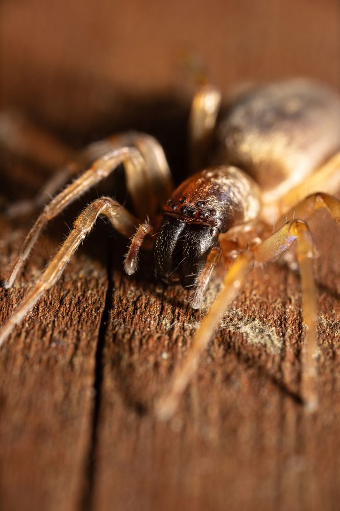 Photograph by Гукасян Геворк