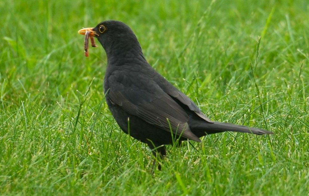 Photograph by Михаил Трусов