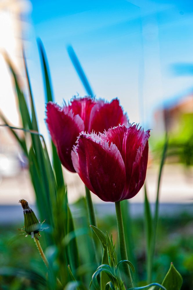 Фотография автора Виталий Дузь