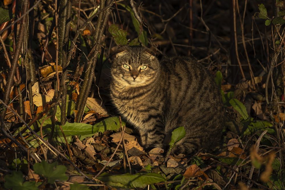 Photograph by Юлия Куликова