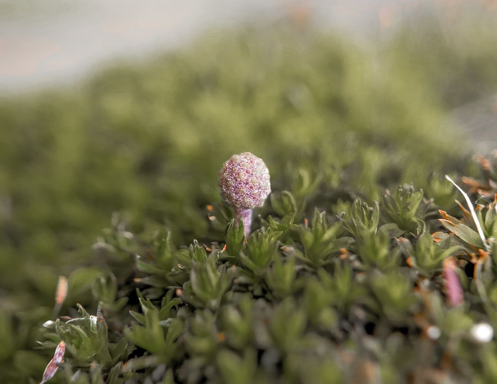 Фотография автора Thomas Engida