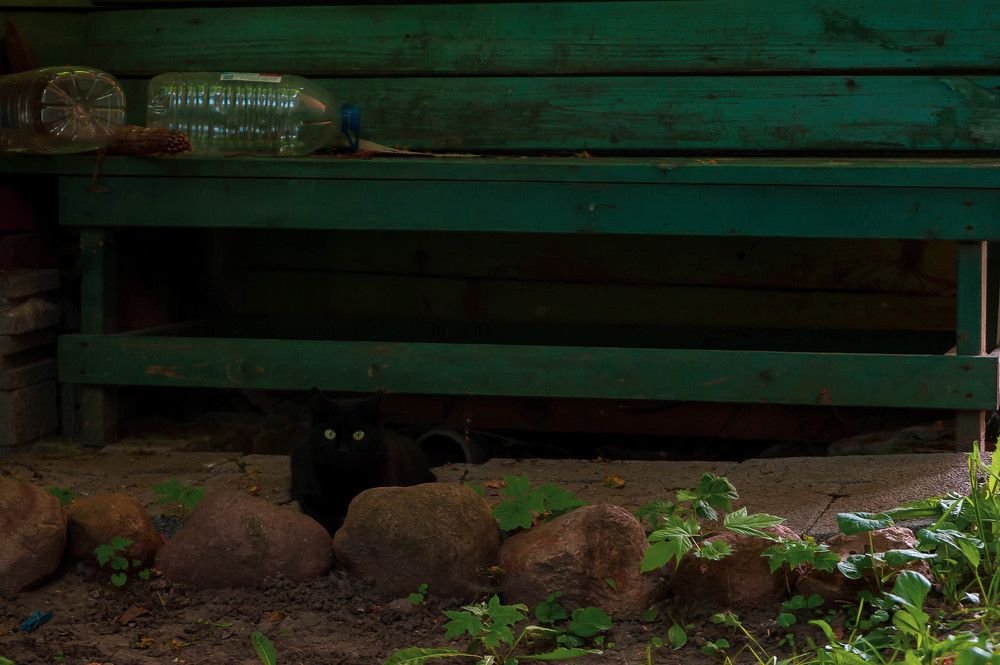 Фотография автора Виталий Дузь