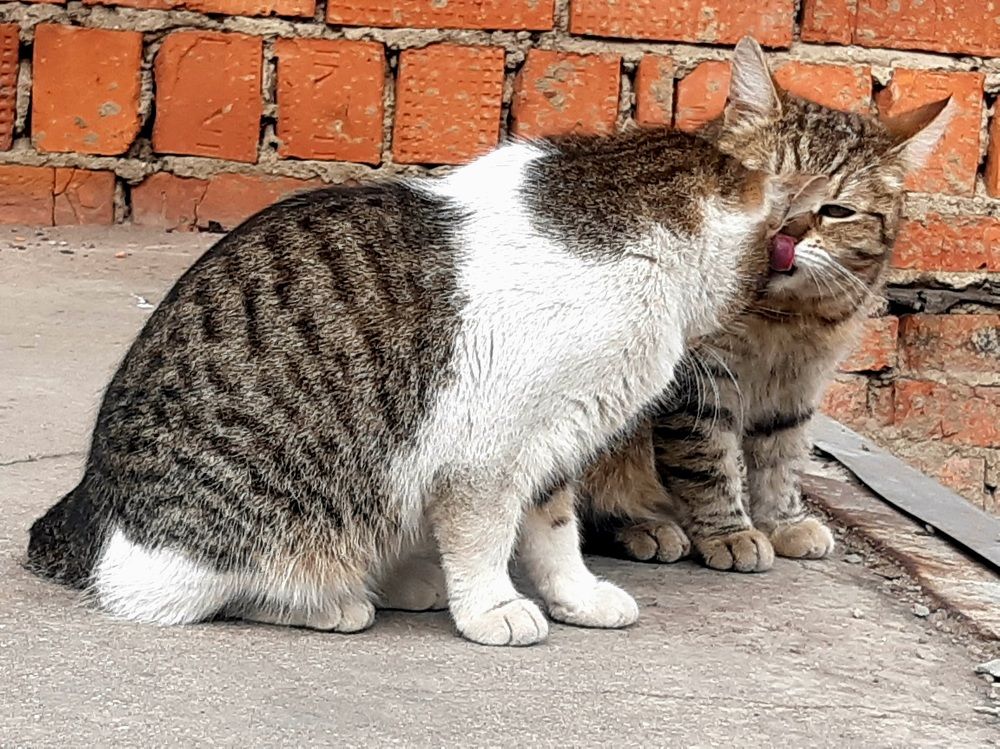 Photograph by Екатерина