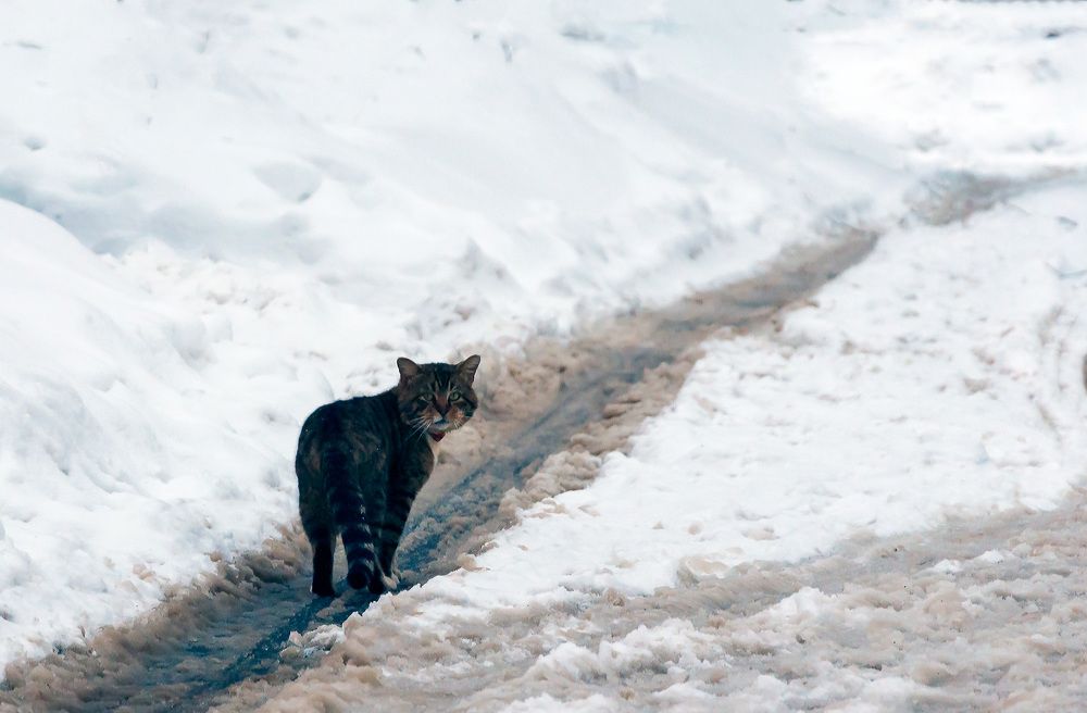 Фотография автора Виталий Дузь