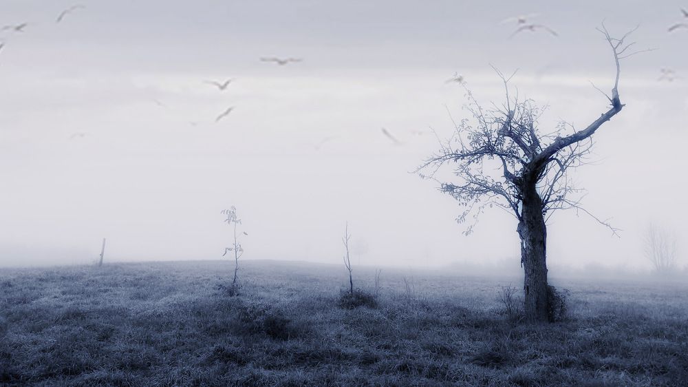 Photograph by Swetlana Lebedev