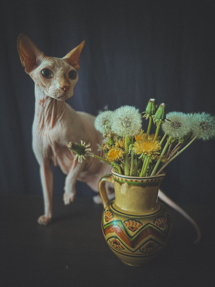 Photograph by Алена Жирова