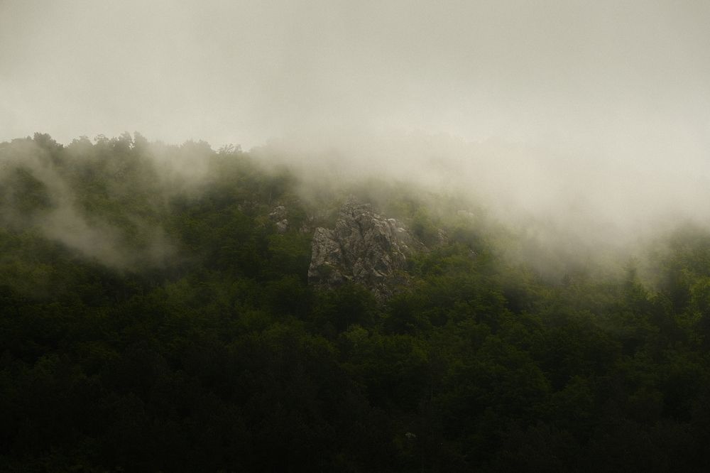 Photograph by Roman Vislobokov